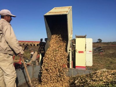 新型農(nóng)業(yè)經(jīng)營者的規(guī)模化之路與有機(jī)肥補(bǔ)貼政策分析